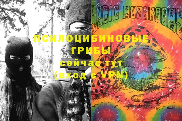 прущая мука Богородицк