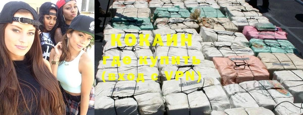 твердый Богородск
