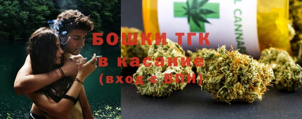 твердый Богородск