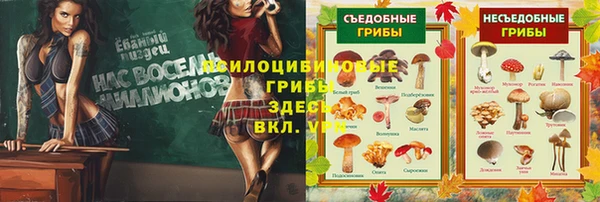 твердый Богородск