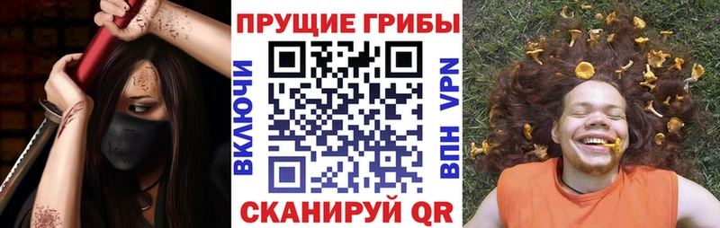 кракен сайт  Полесск  Галлюциногенные грибы MAGIC MUSHROOMS  где можно купить  